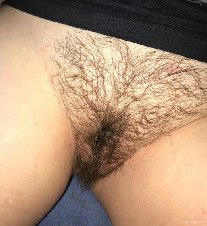 Beautiful Hairy Bush